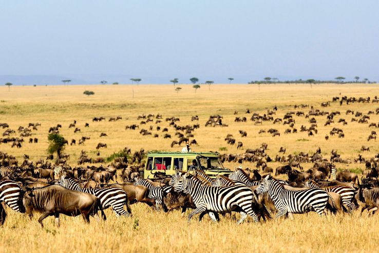 Tanzania Trip Packages